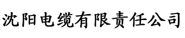 国产精品爽黄69天堂a电缆厂logo